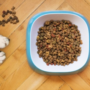 Pet Food
