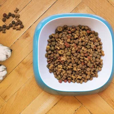 Premium Salmon Adult Dog Food 12kg